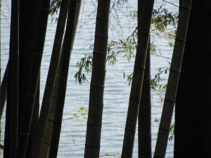 坂手国生神社の向いにある池