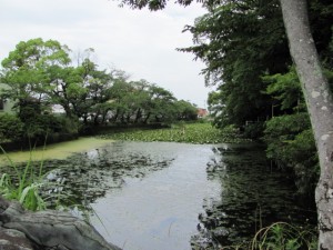 船江上社 朧ヶ池