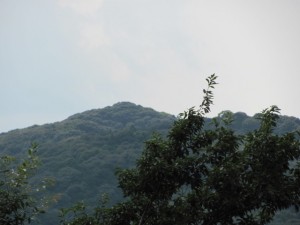 虎尾山