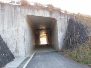 伊勢二見鳥羽ラインのトンネル