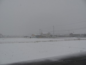 2011年の初雪（自宅付近）