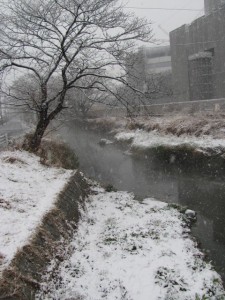 2011年の初雪（桧尻川）