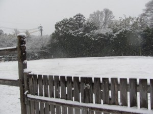 2011年の初雪（外宮北御門付近）