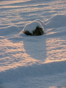 2011年、二度目の積雪（自宅付近）