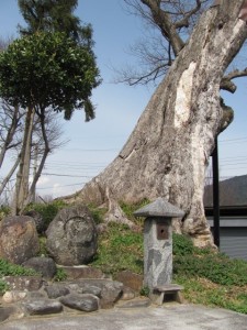 神明神社（箸墓古墳から桜井駅へ）