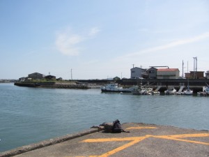 神社・海の駅