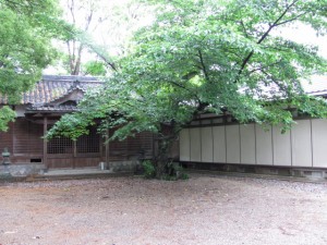 寿栄神社