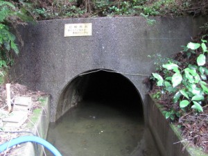 素堀のトンネル（ふれあいの森）