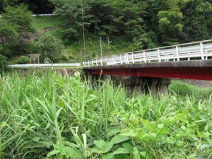 宮戸橋（八手俣川）