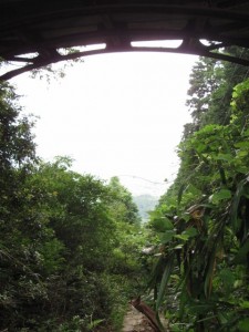 朝熊登山鉄道・ケーブルカー跡