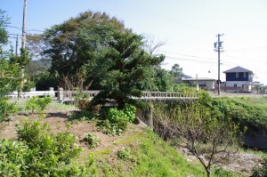小野川橋