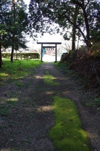 中原神社（み歴マ 初瀬 8）