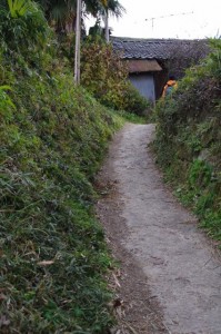 山の辺の道（トレイル青垣～桧原神社）
