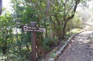 横山展望台への遊歩道