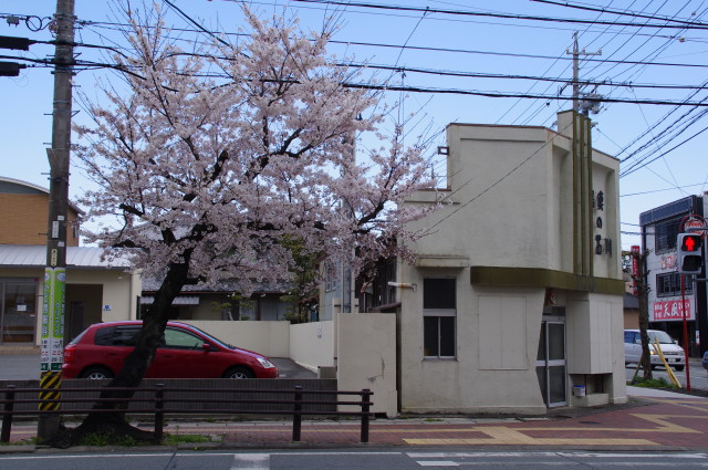 桜（NTT西日本 伊勢志摩ビル前）