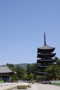 興福寺東金堂と五重塔