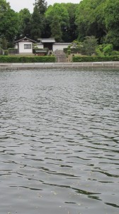 前池越しに望む崇道天皇八島陵