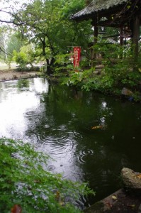 金剛座寺の池