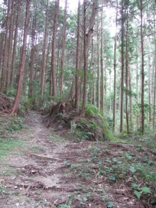 鴨神社への山（参）道