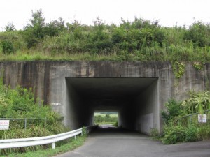 伊勢自動車道下のトンネル「勢和多気42」
