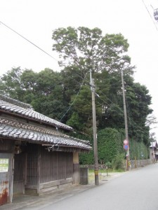 狭田国生神社