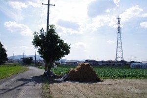 藁のピラミッド（御薗神社付近）