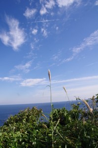 監的哨からニワの浜への遊歩道からの風景（神島）