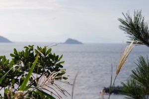 小築海島の遠望（神島）