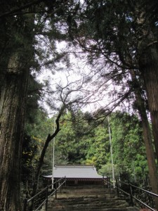 黒瀧神社（松阪市飯高町森）