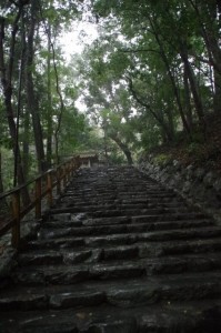 多賀宮への石段
