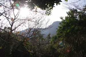 日の出の森 山頂広場～獅子ヶ岳