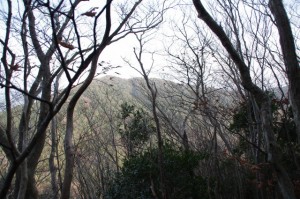 日の出の森 山頂広場～獅子ヶ岳