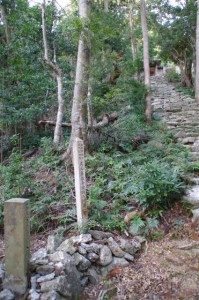 山門への石段（丸興山庫蔵寺）