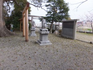 箕曲神社、春の落葉（伊勢市小木町）