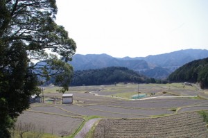 坂本農村公園展望台からの風景（坂本棚田）