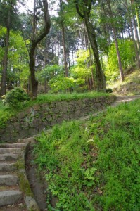 甘樫丘の園路（階段）