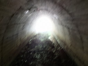 「バカ曲がり」の説明板下のトンネル