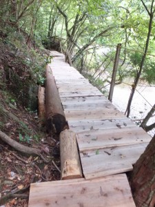 ツヅラト峠への歩行者用道、森の中
