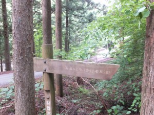 ツヅラト峠への歩行者用道、林道が舗装道と合流