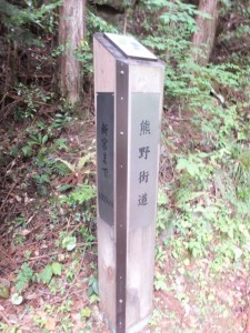 「熊野古道 新宮まで 102m」の道標