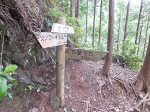 道標（ツヅラト峠～志子登り口）