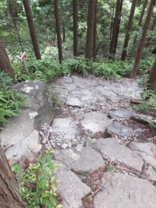 石畳（ツヅラト峠～志子登り口）