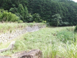 「国史跡 熊野参詣道伊勢路 大吹峠道」の標石から大泊へ