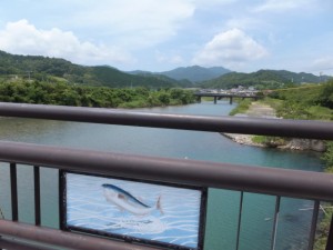 阿田和橋から望む尾呂志川の上流側