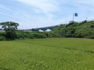 阿田和橋の先にあるJA御浜経済センター付近から望む国道４２号
