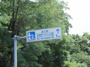 国道４２号、「道の駅 紀宝町のウミガメ公園 １km」の案内板