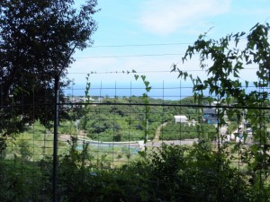 井田一里塚跡の前からの風景