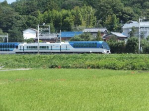 加茂神社道の道標付近から望む近鉄 観光特急しまかぜ
