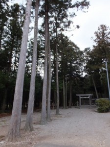 (11) 野添神社